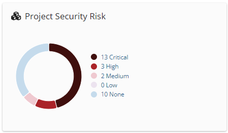 Project Security Risk